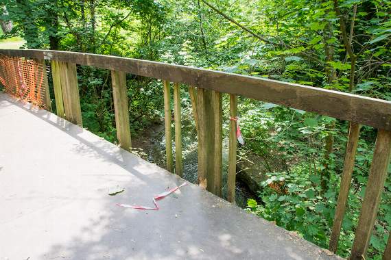 Gallery image 2