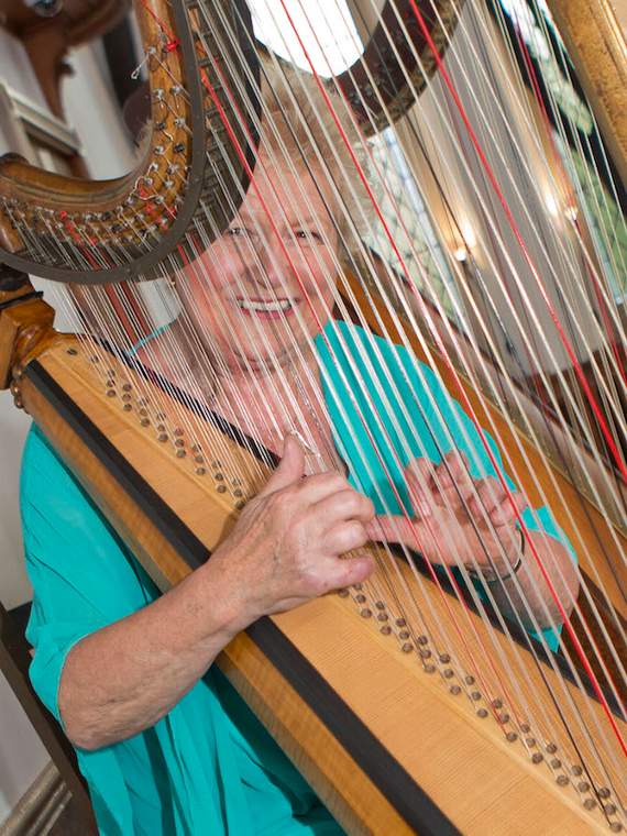 Lady Llanover's harp on show at Elinor Bennett talk