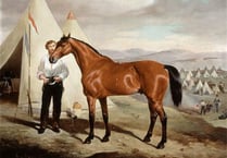 Sir Briggs - A True Warhorse