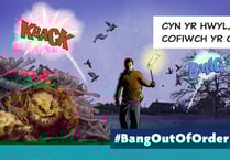 Plea for people to be considerate this Bonfire Night