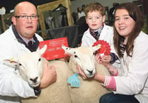 See our Royal Welsh Winter Fair gallery