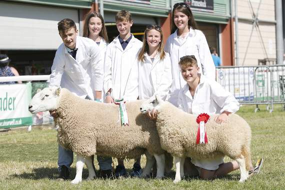 Live coverage of the last day of Royal Welsh Show 2016