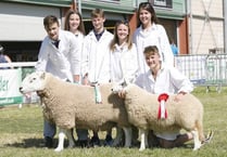Live coverage of the last day of Royal Welsh Show 2016
