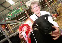 LIVE: updates from day three of the Royal Welsh Show