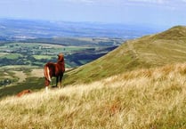 Have an adventure this Spring in the great outdoors