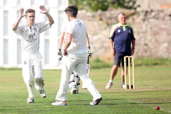 Brecon cricket