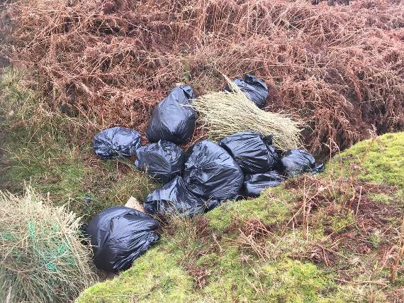 The pictures were tweeted by Dyfed-Powys Police