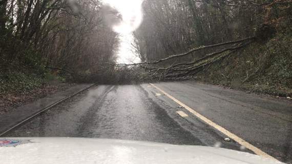 This tree came down on the road between Brecon and Bishop's Meadow on Saturday Picture Brecon Roads Policing