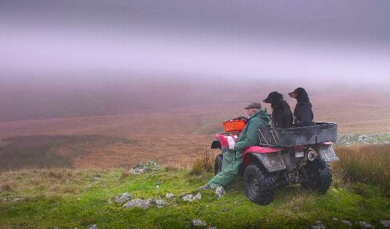 Farmer Glyndwr and his dogs admire the views