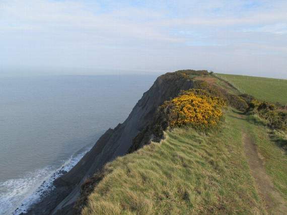 Looking northwards towards Borth with Craig y Delyn at the base of the cliff