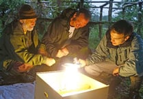 The wonderful world of moths explored