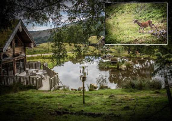 Eagle Brae, which is set among some of the wildest glens, highest mountains and largest lochs of the northern Scottish Highlands