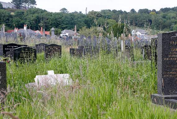 Knee-high grass obscures many headstones