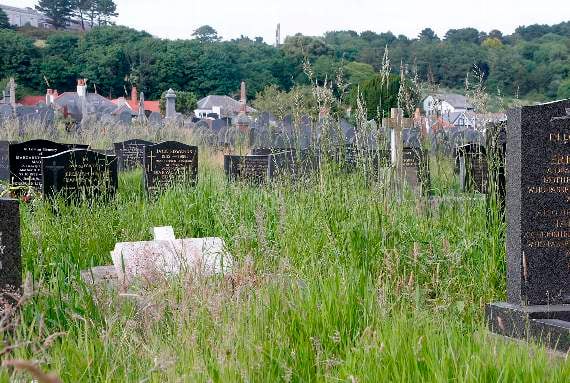 Knee-high grass obscures many headstones