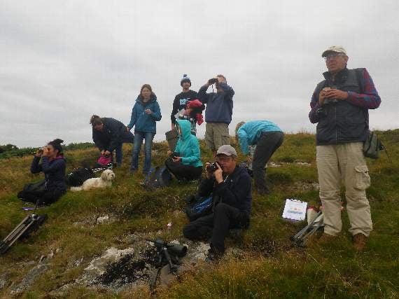 Volunteers taking part in last year’s dolphin surveys.