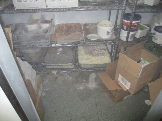 Food stored on the floor of a freezer