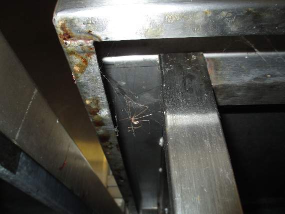 The underside of one of the food preparation tables