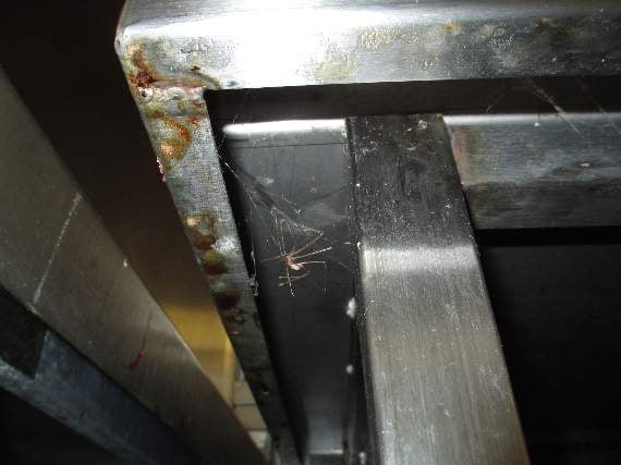 The underside of one of the food preparation tables