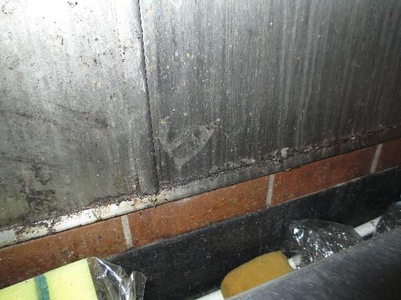 A wall behind one of the sinks in the kitchen