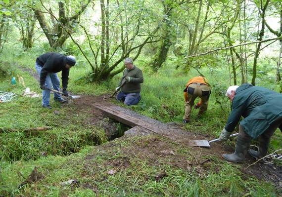 Coed y Bont woodland near Pontrhydfendigaid has received the Green Flag Community Award
