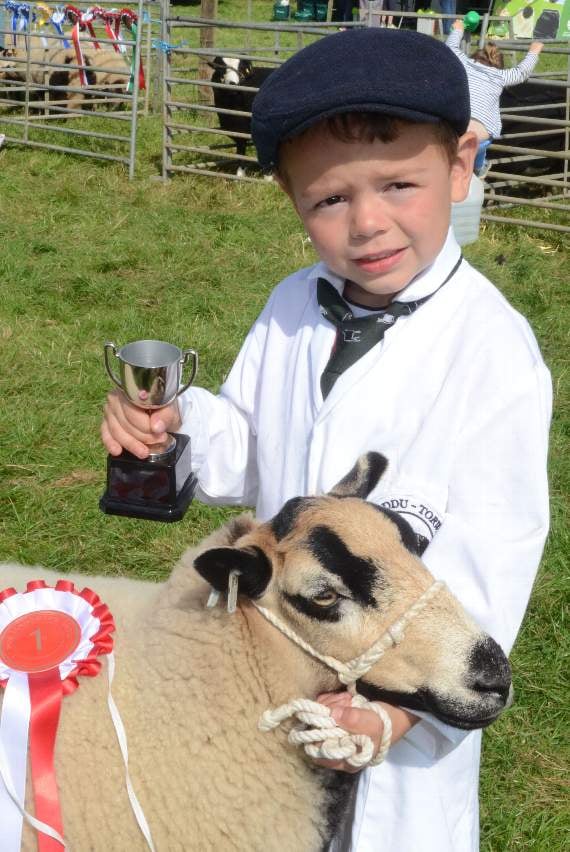 Hari Williams, Talybont was the Best Young Handler under 7 in the sheep section with his Torddu ewe