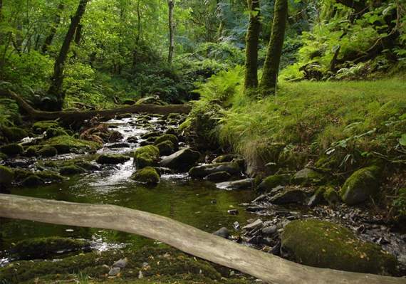Drop-in sessions will be held this week to garner views on the Dyfi Biosphere's progress over the past 10 years