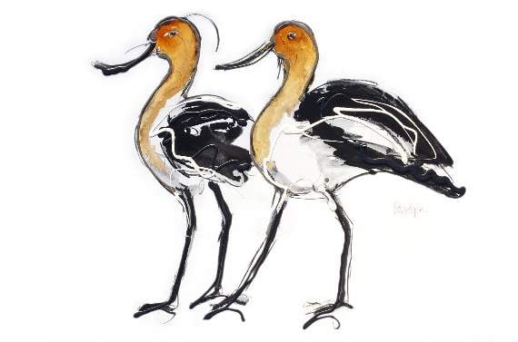 Penelope Timmis paints a range of landscapes, seascapes, flowers and animals including Fred and Ginger in crayon and acrylic