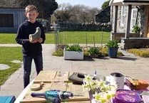 Young entrepreneur Will gives venture some welly!