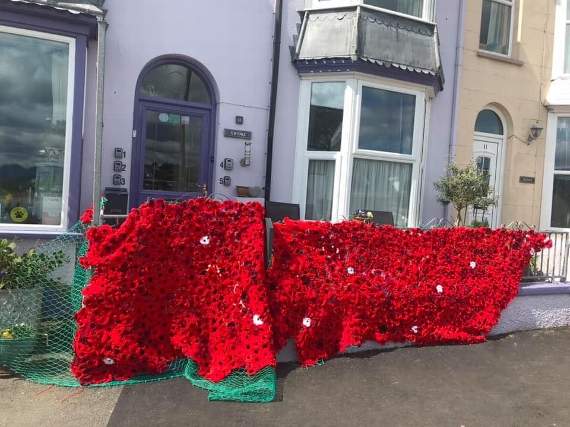 The poppies on display