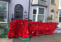 Thousands of hand-made poppies put on display to mark VE Day