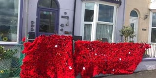 Thousands of hand-made poppies put on display to mark VE Day