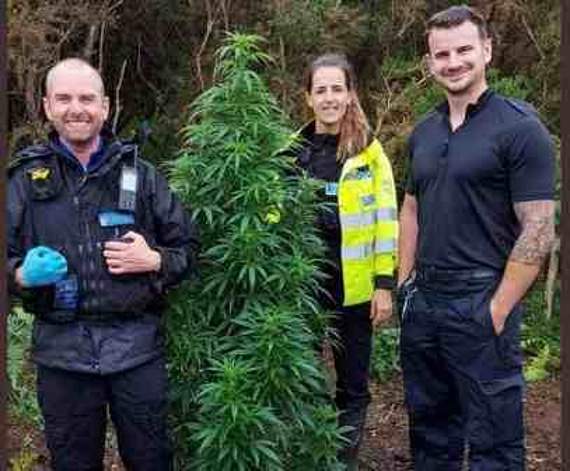 Officers with their discovery in a quiet corner of Ceredigion