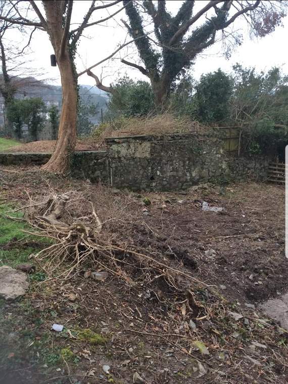 Loteri Dolgellau has offered support to Llecyn Lliwgar, a project on the grounds of Ysgol Bro Idris where pupils are working hard to transform an area of unused land into a garden