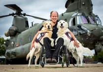 Runners can make a Great difference for Hounds for Heroes