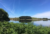 Appeal for historic photos and memories of Siblyback Lake