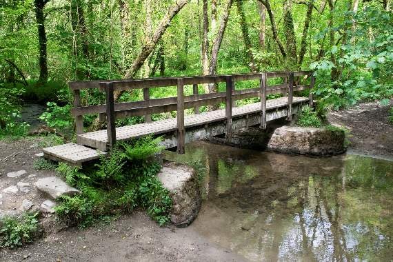 A more modern bridge for walkers across a stream in the woods between Herodsfoot and Duloe. Photo by David Ambler