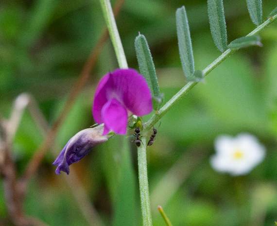 It's worth keping your eyes peeled for the variety of flora along the route