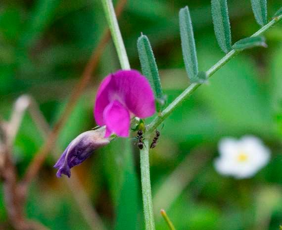It's worth keping your eyes peeled for the variety of flora along the route