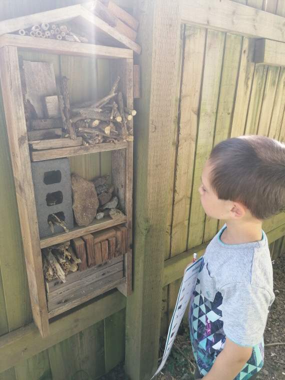 Henry has a look to see if he can spot spiders, snails or insects making a home