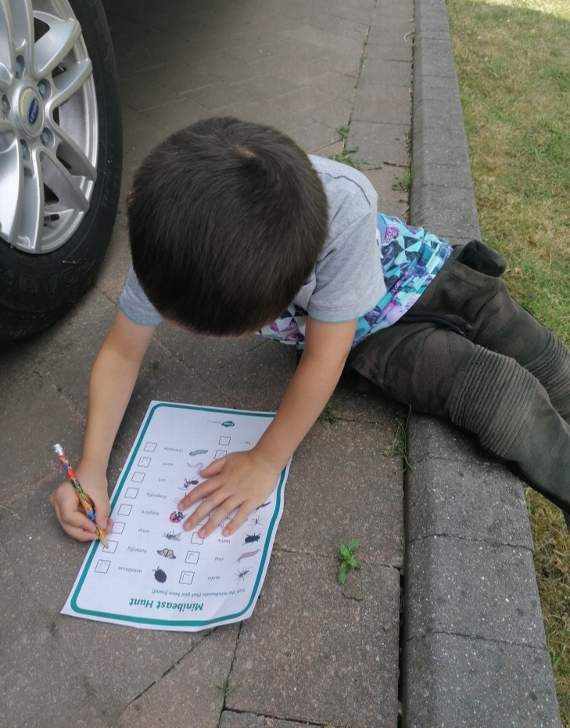 Checking the list to see which species might have checked-in to the bug hotel