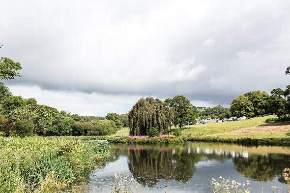 Boconnoc's lake is a haven for wildlife