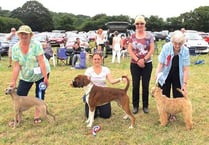 Horses, dogs and feathers friends to star at Tamar Valley show
