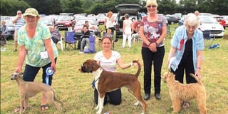 Horses, dogs and feathers friends to star at Tamar Valley show