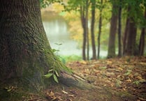 Take a look at ideas for new planning rules to combat climate change