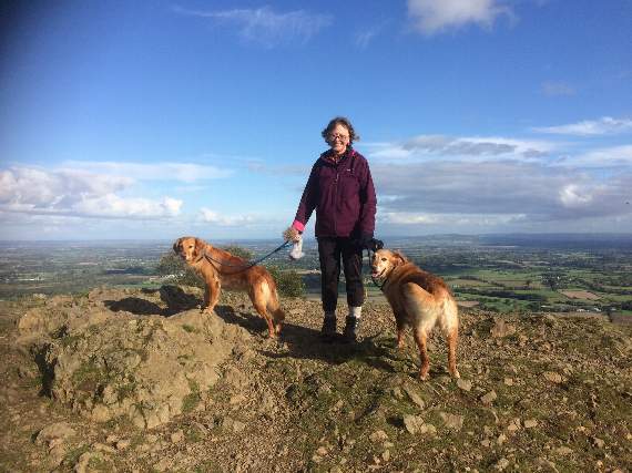 Author Sally Hubbard looked at nature in new ways as she recovered from an operation