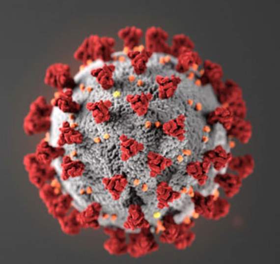 Torpoint Community College has confirmed that a Year 11 student has tested positive for the COVID-19 virus and is currently self-isolating.