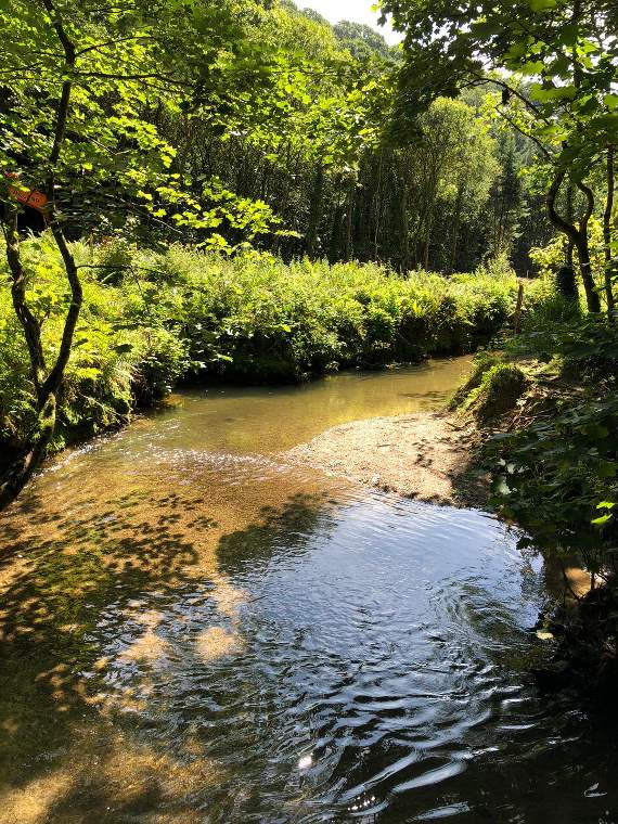 The section of the River Seaton which will be diverted away from the road to prevent further erosion