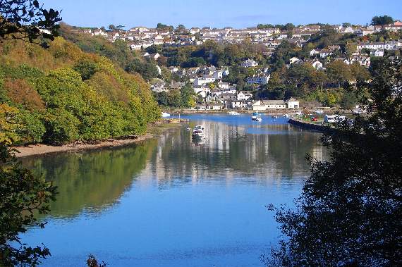 Part of the West Looe Valley where one of the shorter loop trails could be routed. Photo looks towards the Millpool from the banks of the West Looe River. Picture by Neil Richardson