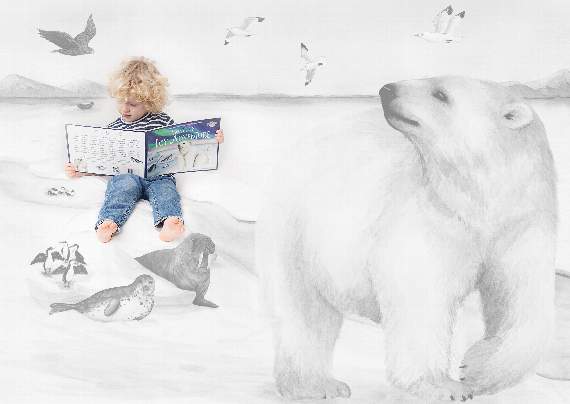 Illustrations in the new books draw children in to the Arctic and Rainforest environment