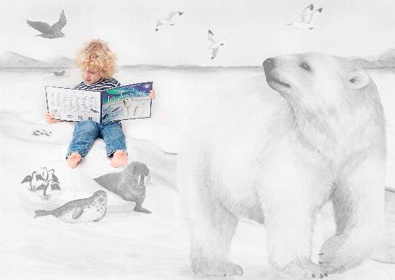 Illustrations in the new books draw children in to the Arctic and Rainforest environment